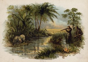 Scen från den schweiziska familjen Robinson: jaga lejonet (chromolitho) av Florence Maplestone