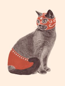 Kattbrottare