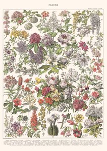 Flowers II – ASTER EDITION, 2023 (digital) av Florent Bodart