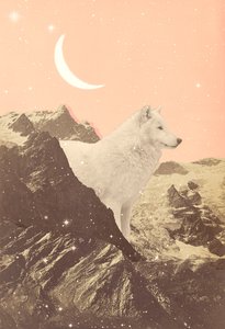 Jättevarg i Pink Mountains, 2021 (collage)