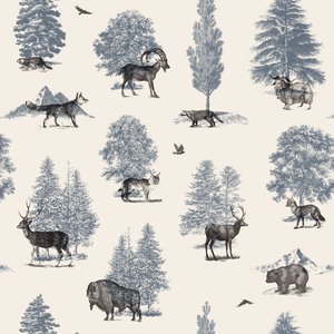 Där de hör hemma - Vinter av Florent Bodart