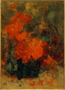 Begonier och nasturtiums