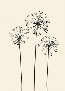 Minimalistiska maskrosblommor av Flow Line