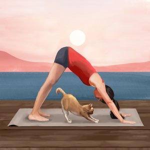 Yoga med soluppgången – Katten