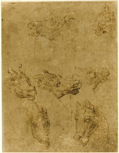 Huvuden av hästar och enhörningar av Follower of Leonardo da Vinci