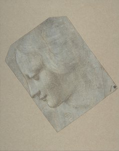 Huvudet av en kvinna i profil vänd åt vänster, 1490-1500. av Follower of Leonardo da Vinci.