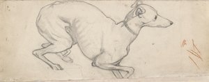 Studie av en vinthund, mitten av 1800-talet av Ford Madox Brown