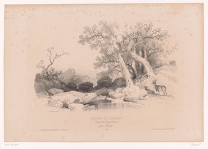 Stenigt landskap med vatten och två rådjur Ritkurs med studier av landskap, djur och detaljer (serietitel) Kurs designen. Paysages, figurer, animaux, tillbehör, av Férogio (serietitel på objekt)