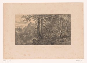 Två jägare i en skog i Pyrenéerna Jakt i Pyrenéerna / Jagdparthie in den Pyrenaën / Cazadores de los Pirinéos (España) (titel på objektet) Figurer i ett landskap (serietitel) av Fortuné Ferogio