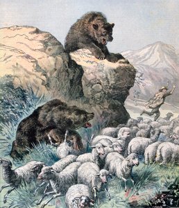 Bears of the Cagyre, 1891. av Fortuné Méaulle