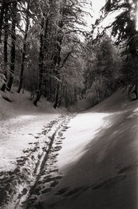 Tystnad och mystik av Fosco Maraini