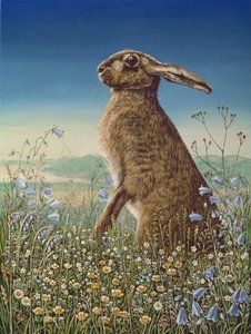 Hare, 1984 (olja och tempera på panel) av Frances Broomfield