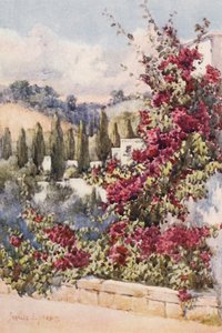 På min balkong, Alger (färglitografi) av Frances Nesbitt