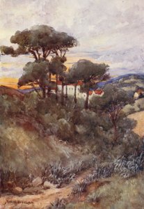 Stone Pines, Alger (färglitografi) av Frances Nesbitt