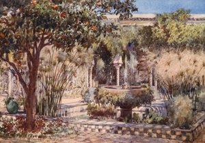 Trädgården till en gammal morisk villa i Alger (färglitografi)
