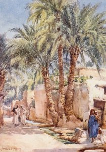 The Palm Village (färglitografi) av Frances Nesbitt