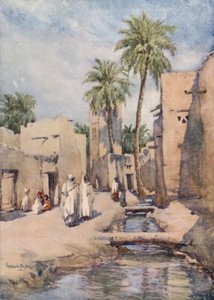 Oasen Biskra, Algeriet