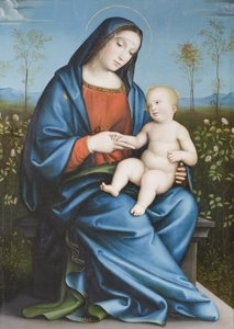Madonna och barnet i rosenträdgården, Raibolini Francesco kallad Francesco Francia (olja på pannå)