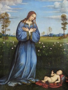 Madonnan i rosenbersån av Francesco Francia