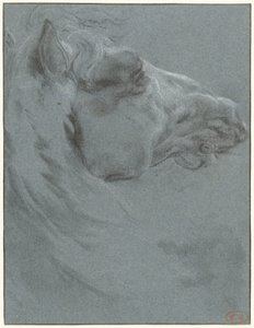 Huvudet på en häst av Francesco Giuseppe Casanova