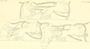 INGHIRAMI(1835) Målningar av fiktiva vaser Vol3 T212 (14598189190) av Francesco Inghirami