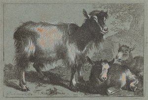Get och två ungar, 1758. av Francesco Londonio