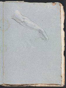 Verona Skissbok: Höger arm och hand sida 95, 1760. av Francesco Lorenzi
