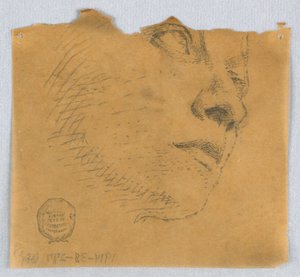 Delvis skiss av ett ansikte av Francis Augustus Lathrop