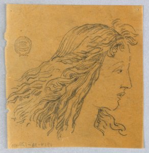 Skiss av kvinnans huvud i profil av Francis Augustus Lathrop