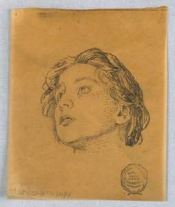 Skiss av en kvinnas huvud av Francis Augustus Lathrop