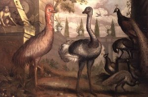 Samling av fåglar (olja) av Francis Barlow