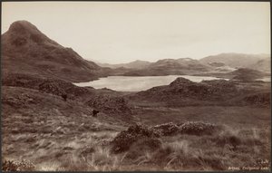 Arthog, Creigene Lake av Francis Bedford