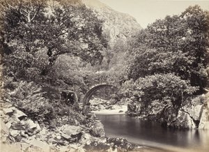  av Francis Bedford