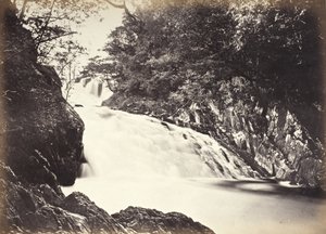  av Francis Bedford