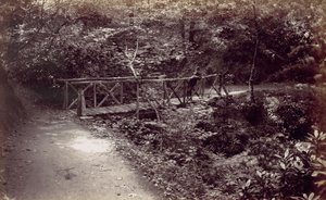 Colwyn Bay. Rustik bro i skogen, 1870-talet. av Francis Bedford