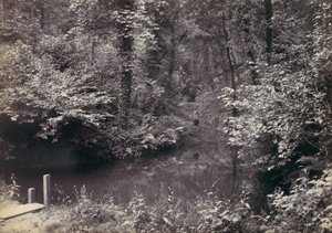 Colwyn Bay. Poolen i skogen, 1870-talet. av Francis Bedford