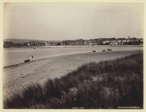 Exmouth från Warren av Francis Bedford