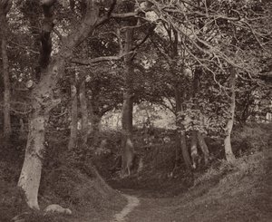 Glen Kenilworth,ca. 1868 (foto) av Francis Bedford