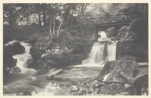 Glen Lyn, den rustika bron, 186094. av Francis Bedford