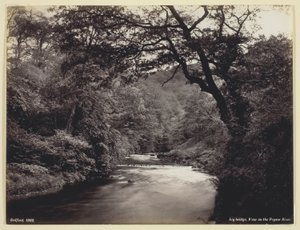 Ivy Bridge, utsikt över floden Prysor av Francis Bedford