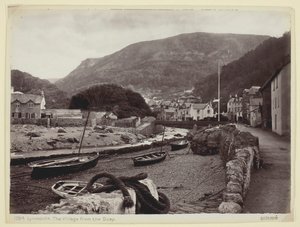 Lynmouth, The Village from the Quay, 186094. av Francis Bedford
