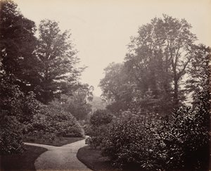 Gångväg i Alexandra Park,ca. 1863 (foto) av Francis Bedford