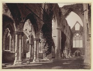 Utan titel [Tintern Abbey], 186094. av Francis Bedford