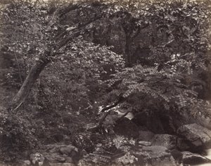 Glen vid Lynmouth av Francis Bedford, Francis Frith
