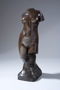 Torso