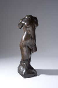 Torso