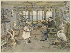 Bird-Stuffer (färglitografi) av Francis Donkin Bedford
