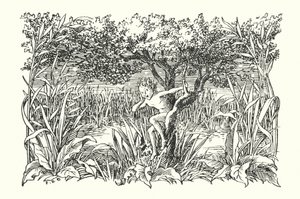 Merrie England: Robin Goodfellow (litografi) av Francis Donkin Bedford