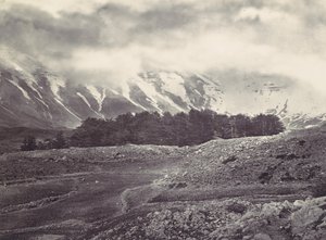 Avlägsen utsikt över Libanons cedrar, ca. 1857. av Francis Frith