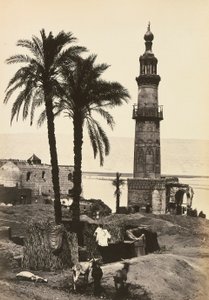 "Egypten och Palestina": utsikt över Girgeh, övre Egypten av Francis Frith
